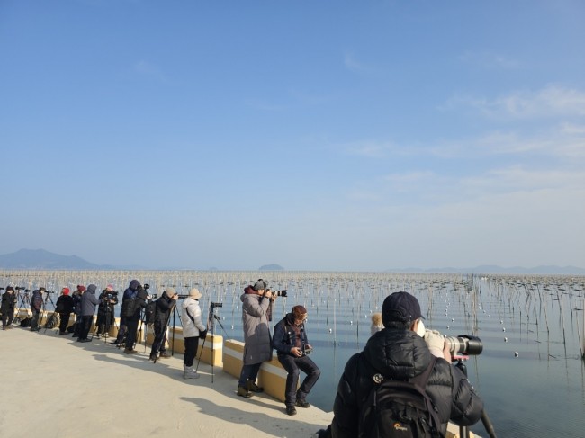 초록빛 바다목장 '장흥 매생이 양식장' 사진명소로 각광