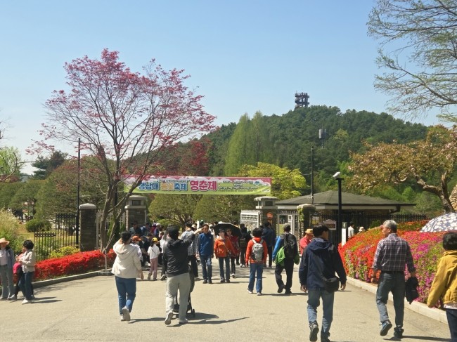 대통령의 정원에서 열리는 '청남대 영춘제' 24일 개막