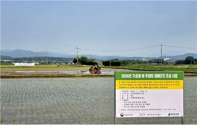 이천시, '주향미' 재배단지 조성 본격화